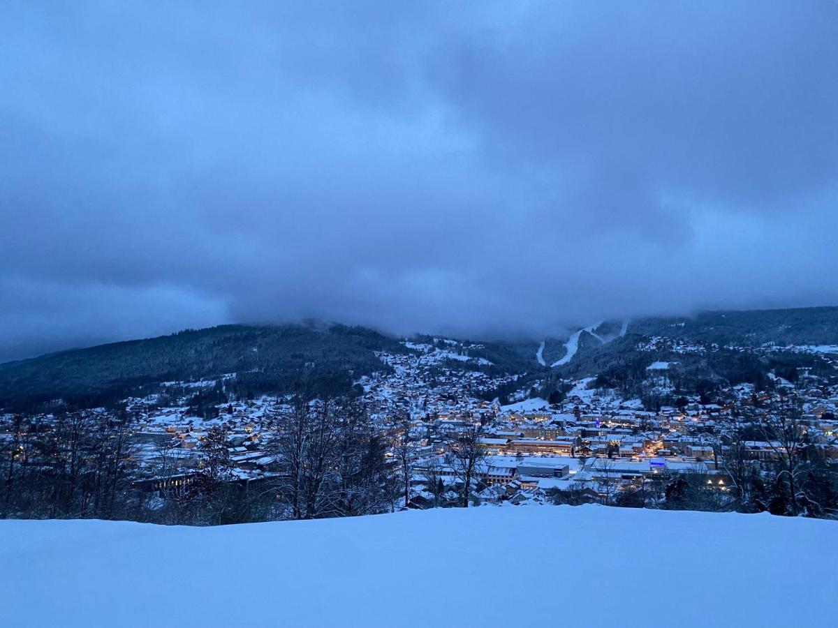 La Cime Des Lacs Gérardmer Екстериор снимка